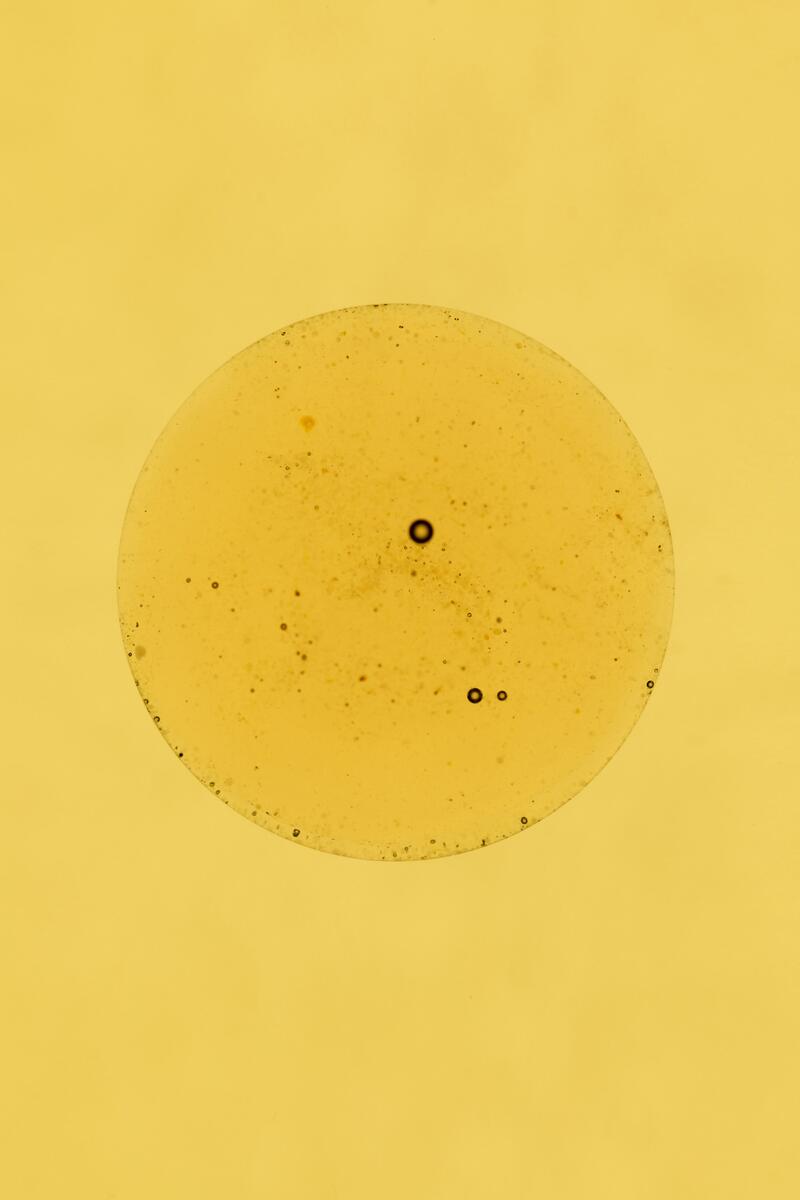 achim-weinberg_oelbild-v