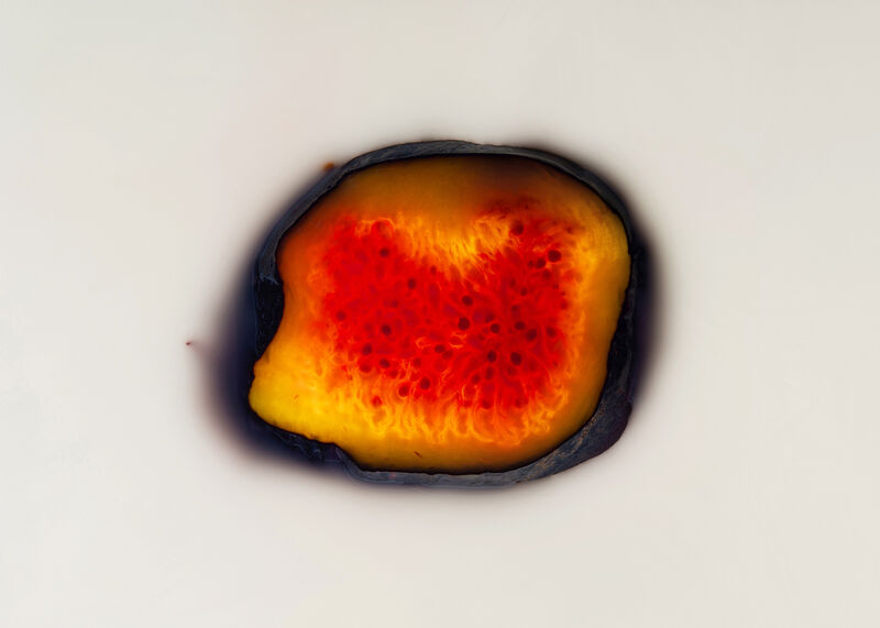 achim-weinberg_the-glow-2