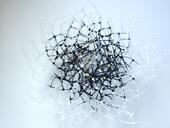 Caroline Laengerer - Delicate touch of growth