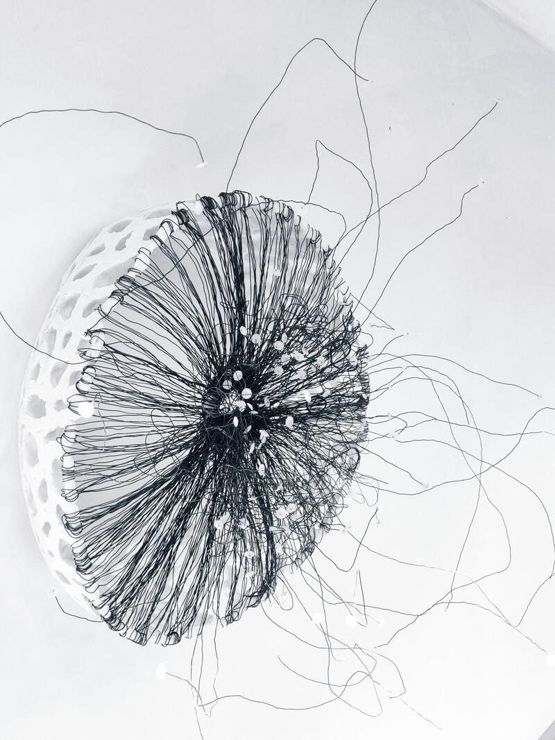 Caroline Laengerer - Grow on