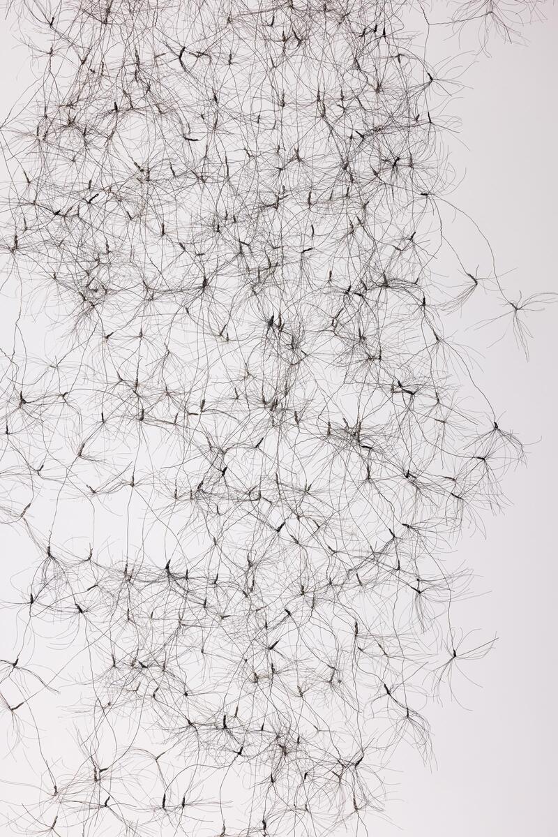 Caroline Laengerer - Grown