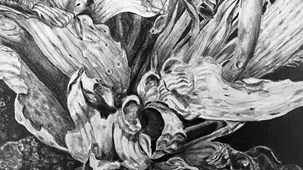 Dagmara Szmal - Peonys dance