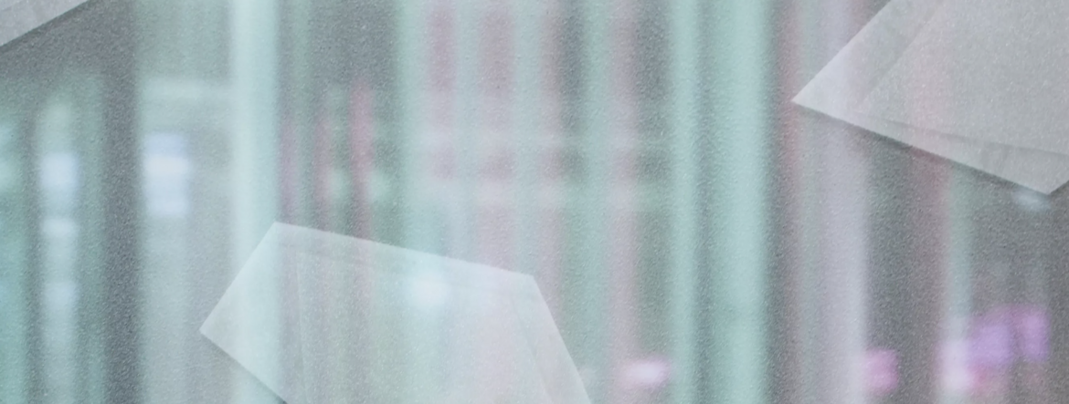 Irmi Moser - Material Shifting