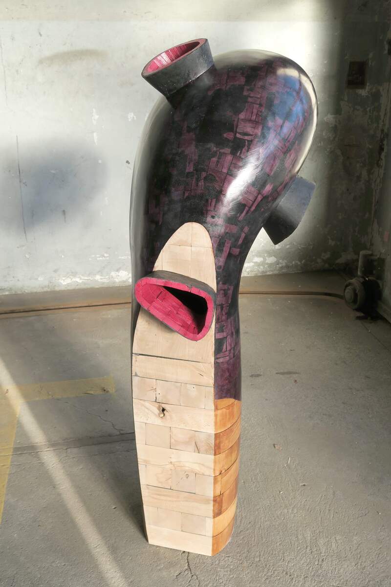 Klemens Pasoldt - Quiet rebel