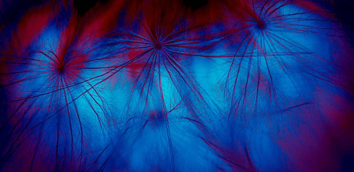 Mari Prete - In my dreams III (Detail)