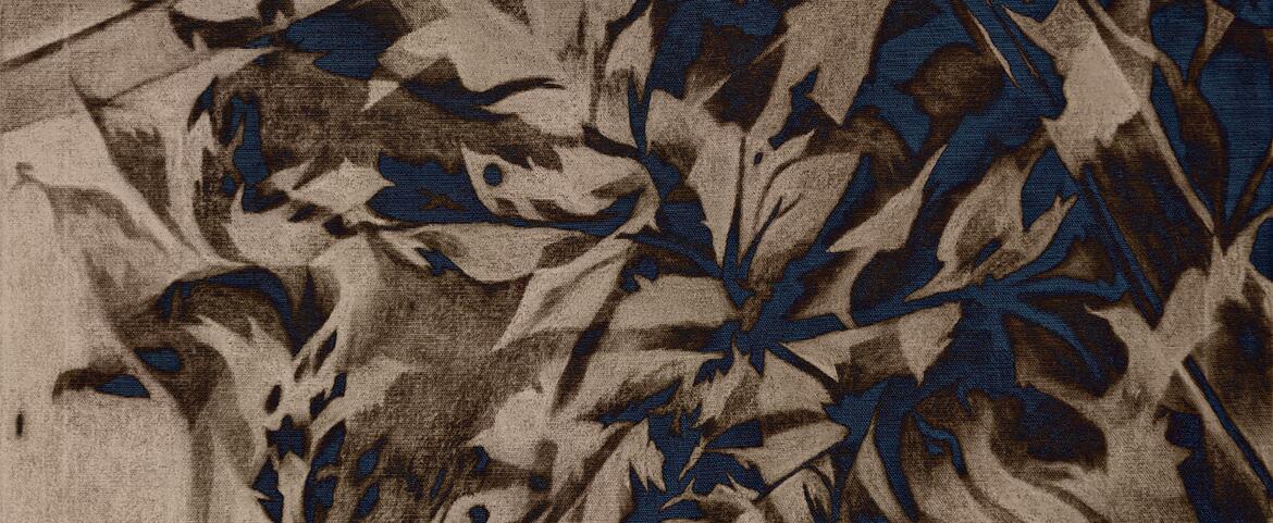 petrov_negation