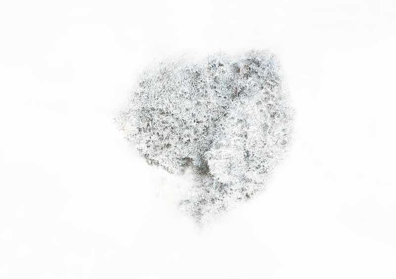 Regina Weiss - Dust 5