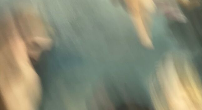 Sandra Pulina - Flying cupid