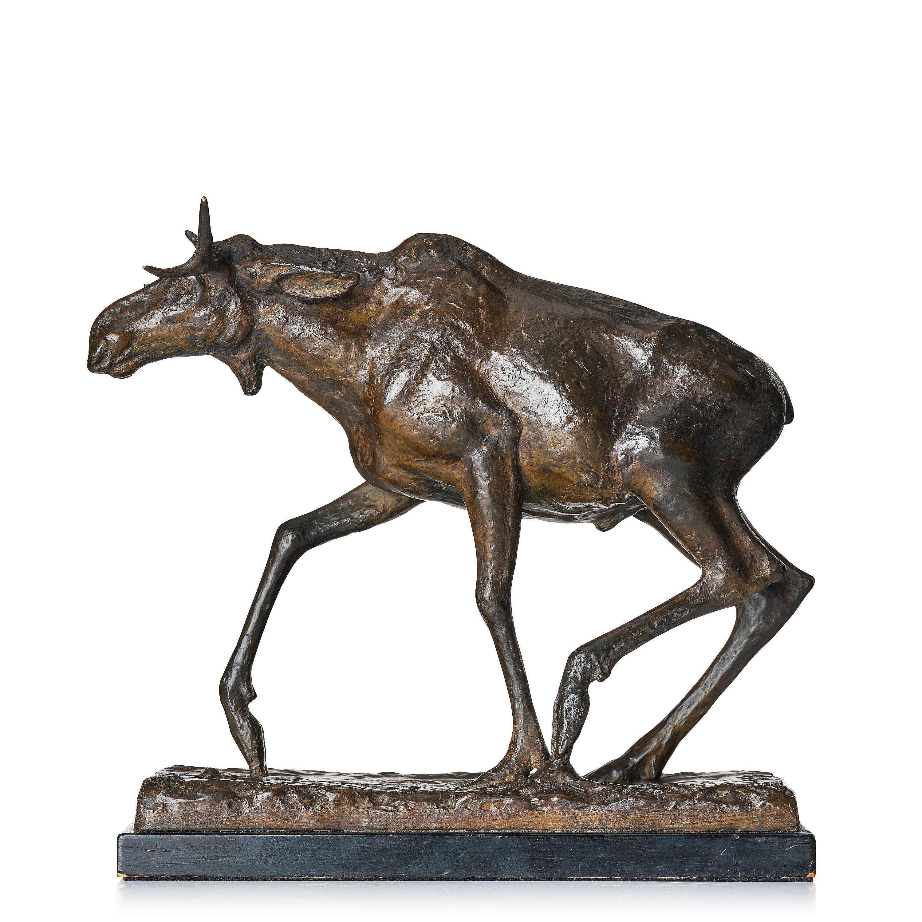 Arvid Knöppel - Elk