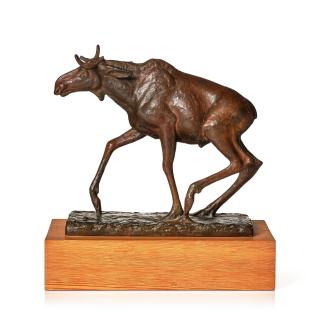 Arvid Knöppel - Elk