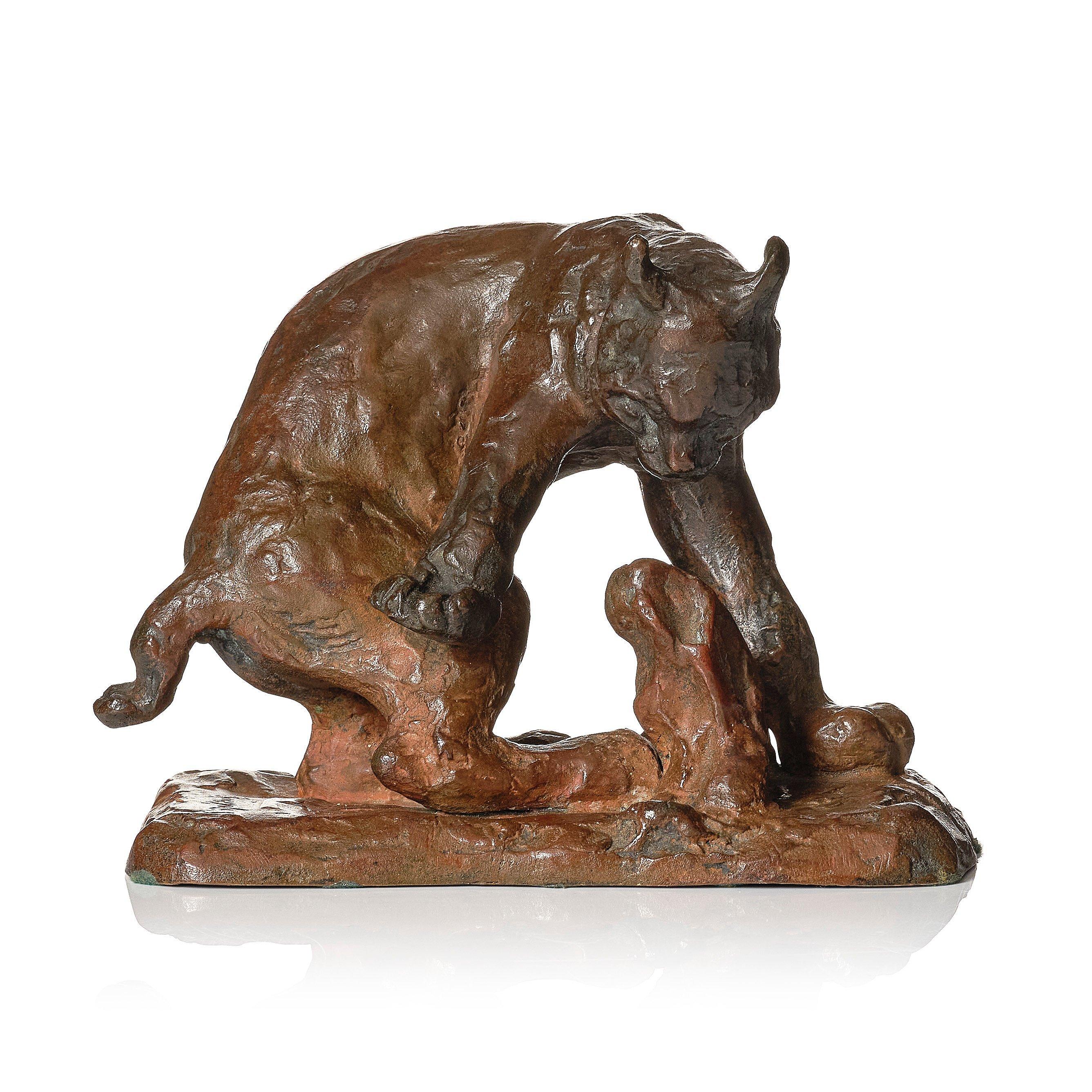 Arvid Knöppel - Lynx hunting