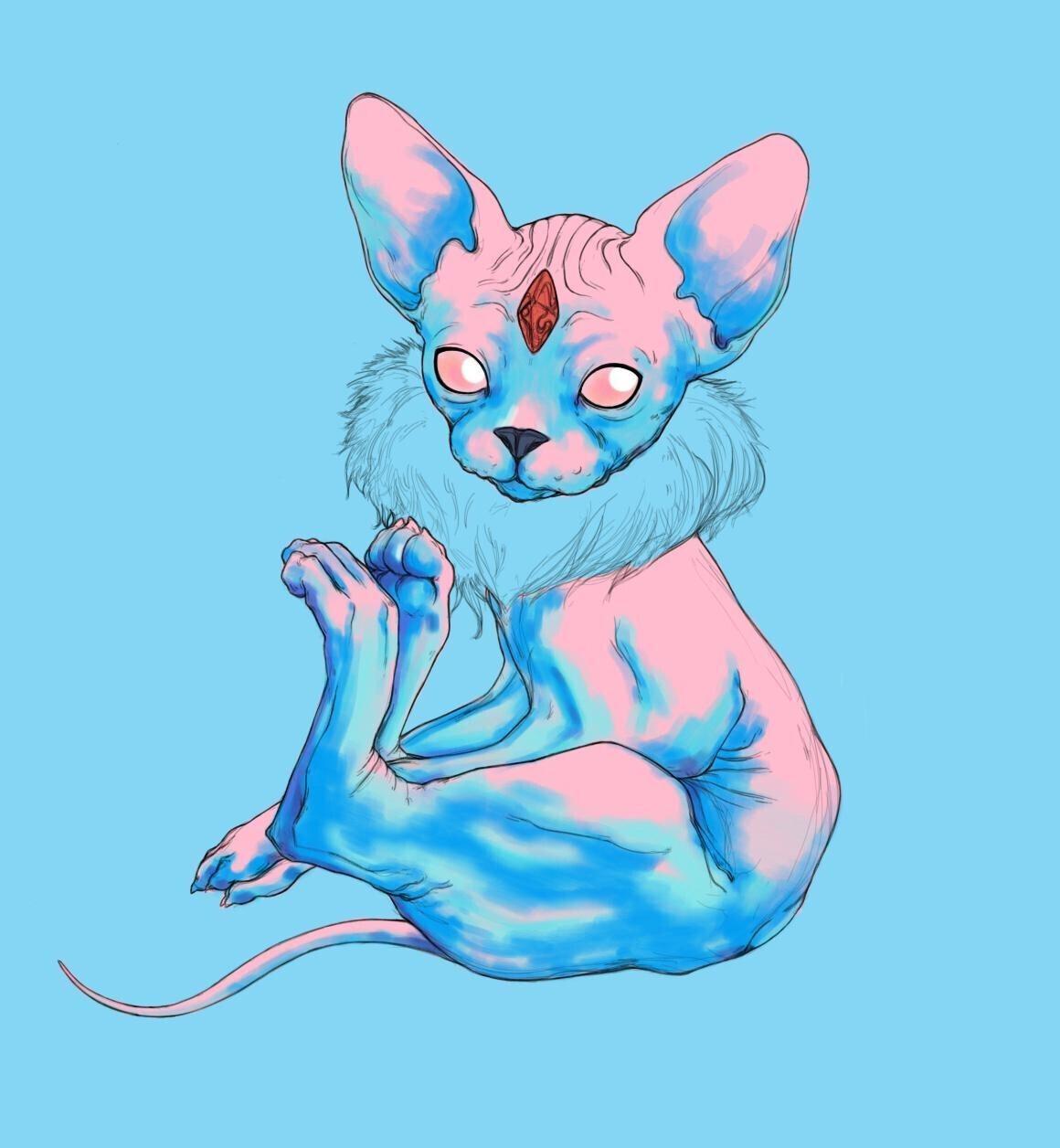 Asa Jarju - Cosmic Familiar