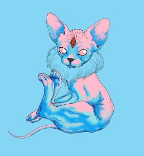 Asa Jarju - Cosmic Familiar