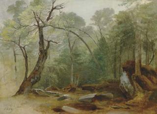 Asher B. Durand - Study in the Woods