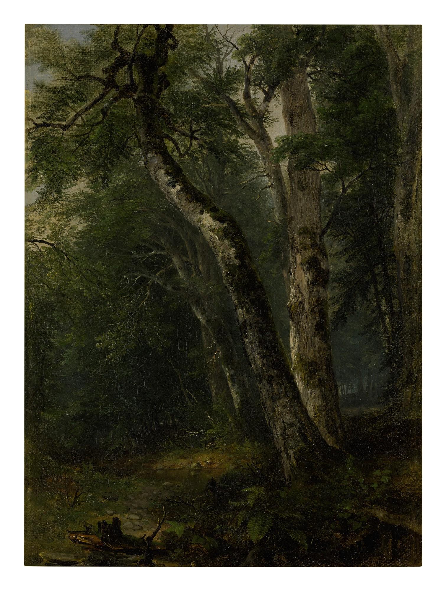 Asher Brown Durand - Woodland Interior