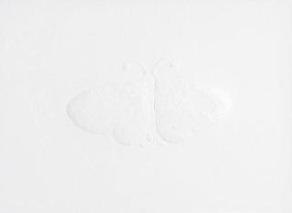 Ashim Purkayastha - Dilli Dilwalon Ki