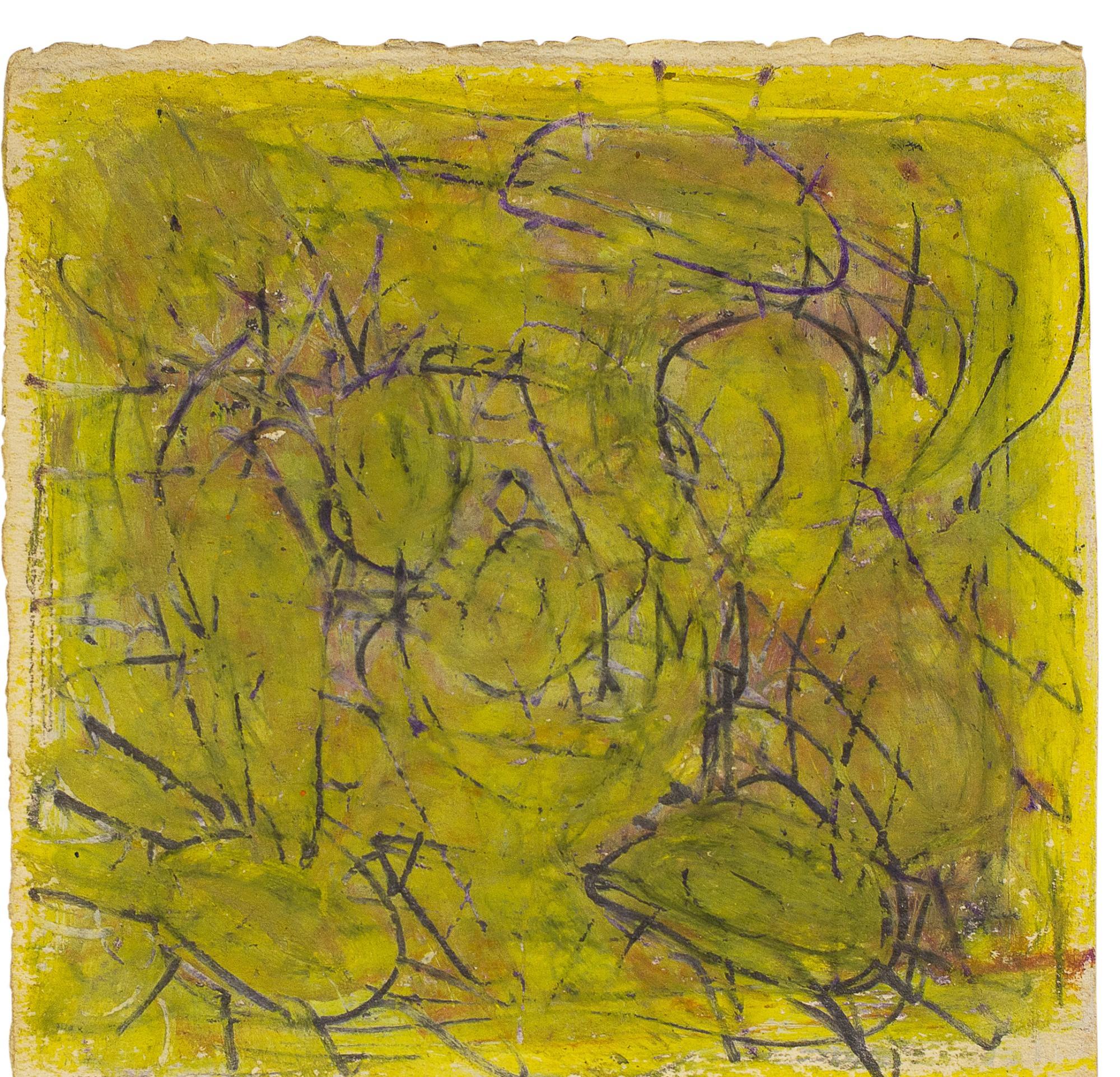 Asim Abu Shakra - Cactus