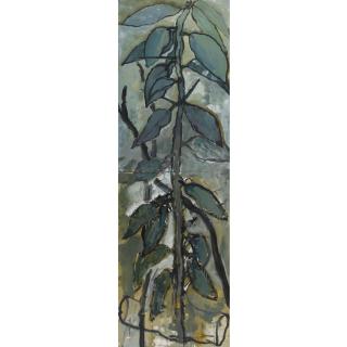 Asim Abu Shakra - Sunflower