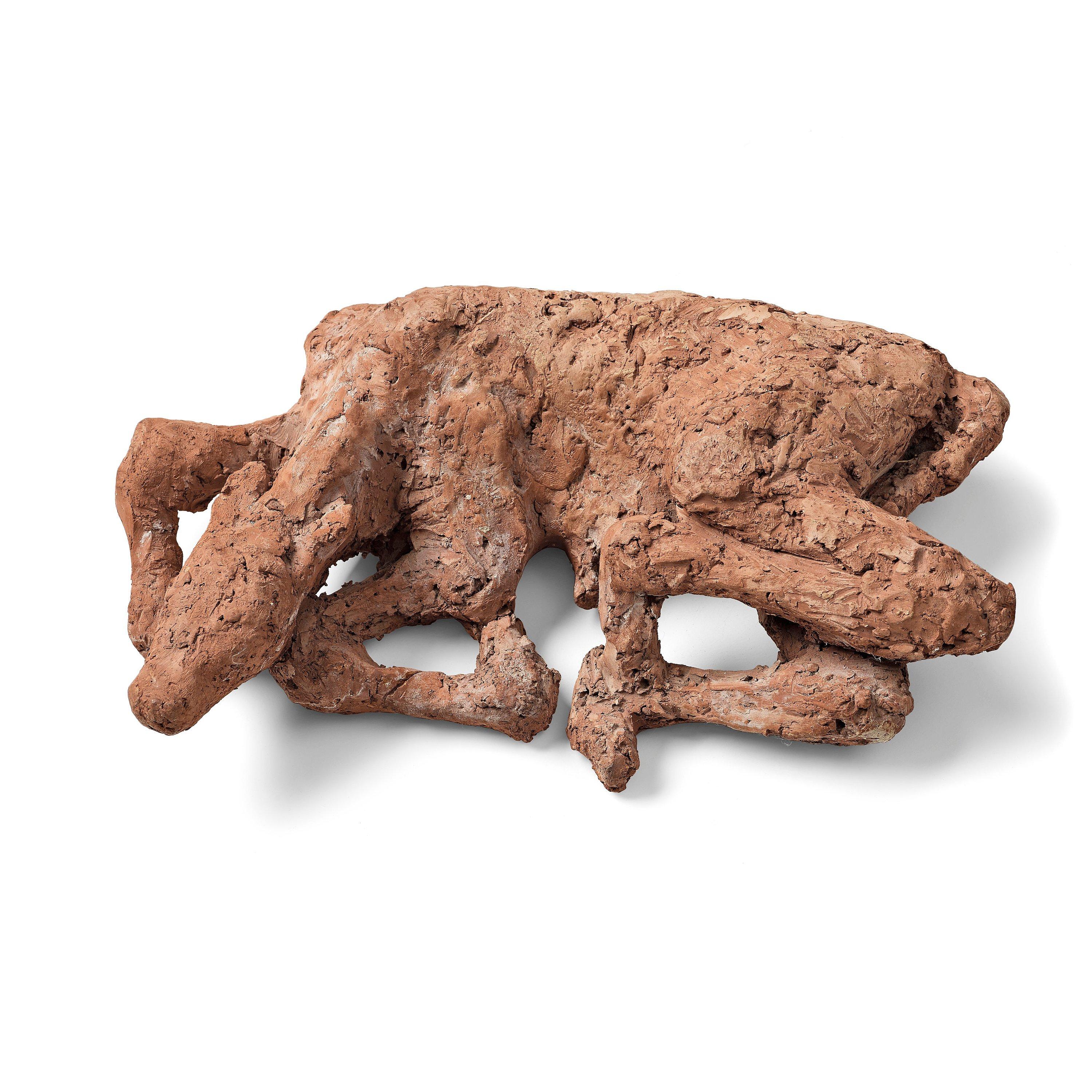 Asmund Arle - Newborn calf