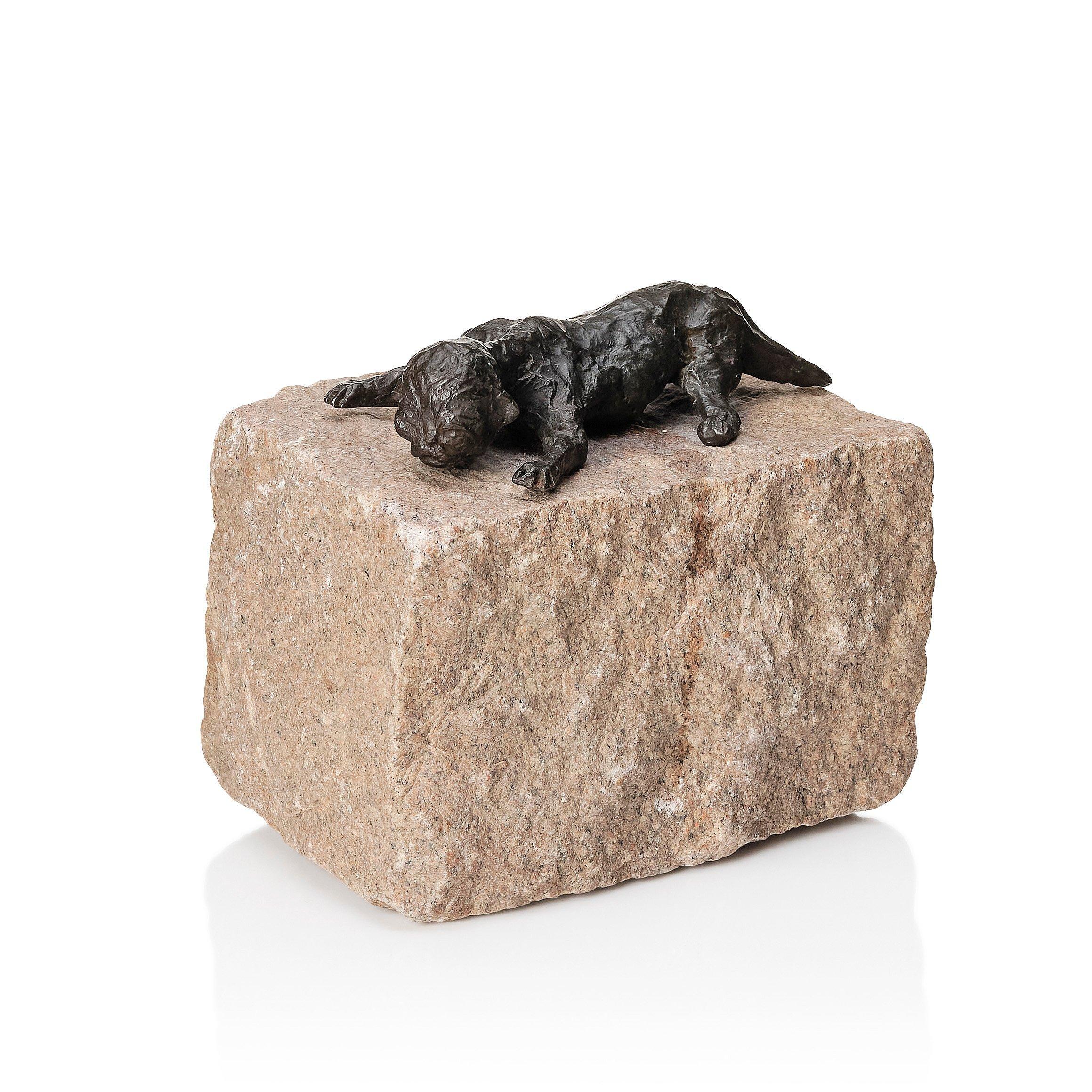 Asmund Arle - Newborn kitten