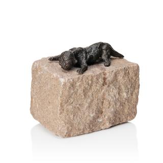 Asmund Arle - Newborn kitten