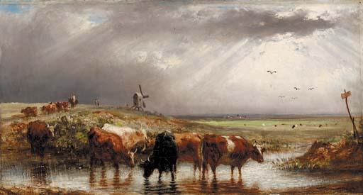Aster R. C. Corbould - In the marshes