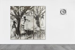 Astrid Klein - Marche ou crève.