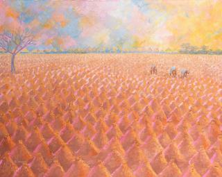 Ato Delaquis - Yam Farm