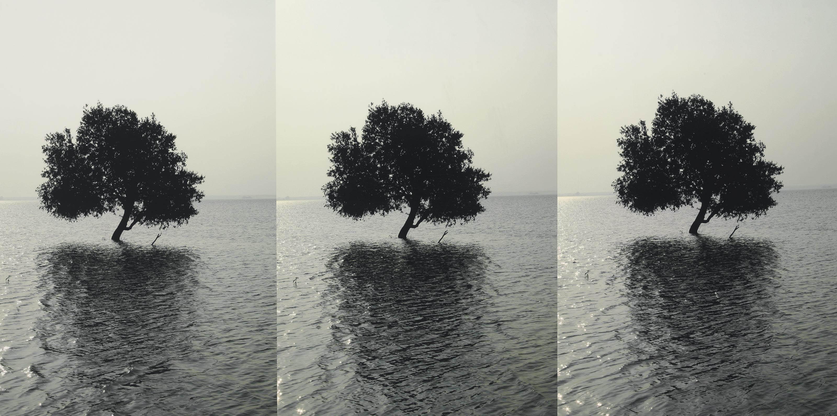 Atul Bhalla - Alone And Again