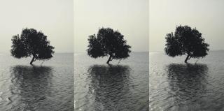 Atul Bhalla - Alone And Again