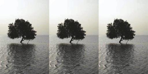 Atul Bhalla - Alone and Again