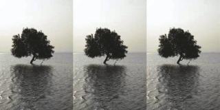 Atul Bhalla - Alone and Again