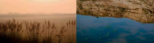 Atul Bhalla - Yamuna Morning