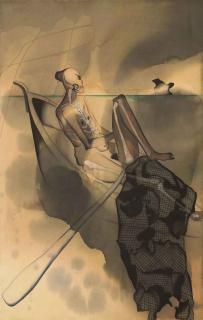 Atul Dodiya - Iceberg