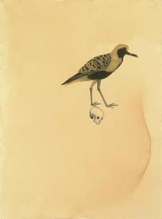 Atul Dodiya - In Jatayu\'s Forest - II