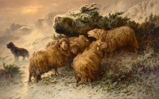 August Friedrich Albrecht Schenck - A flock of sheep in a snow storm