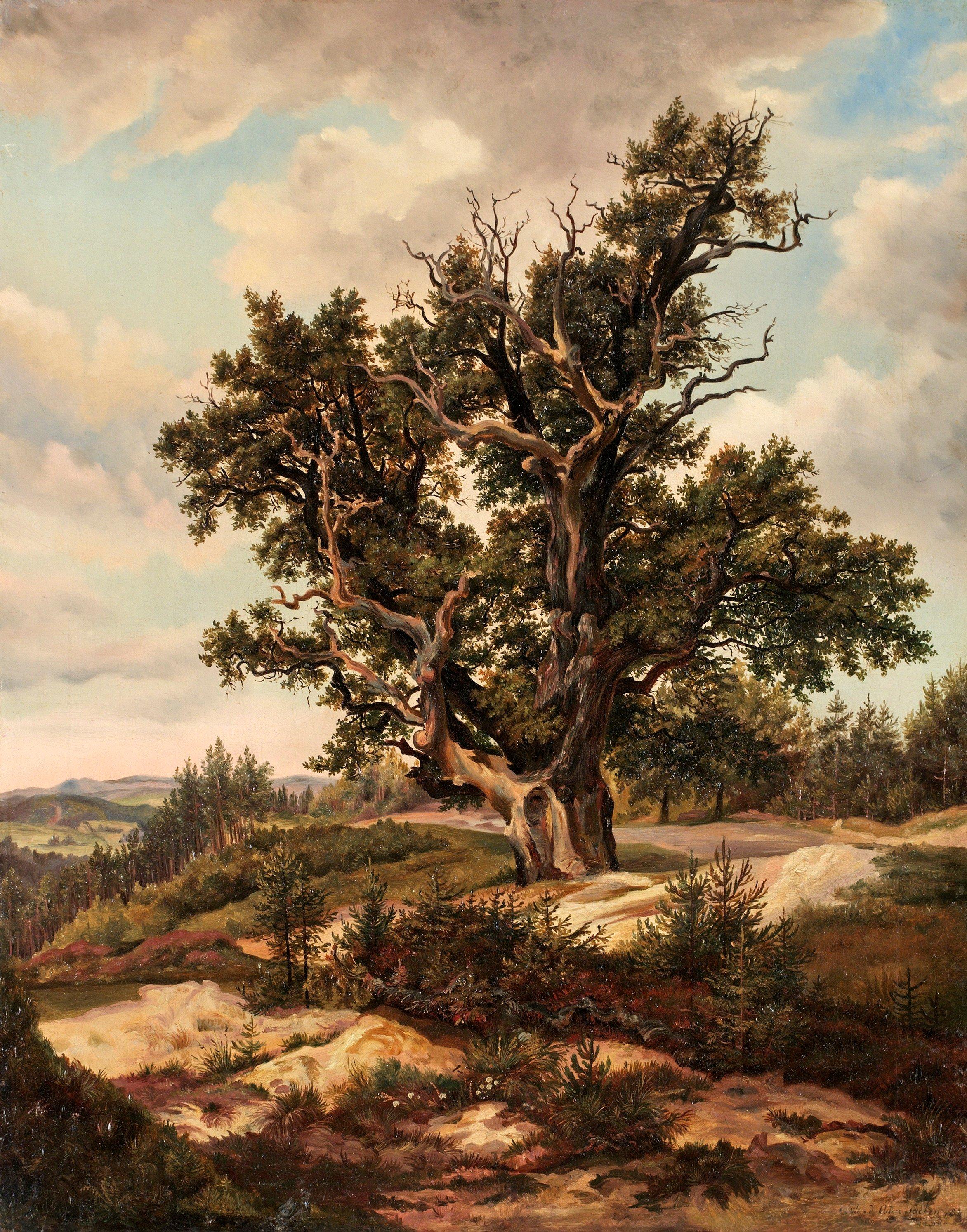 August Friedrich Heinrich van der Osten-Sacken - The old oak
