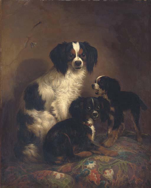 August Knip - Three King Charles Spaniels