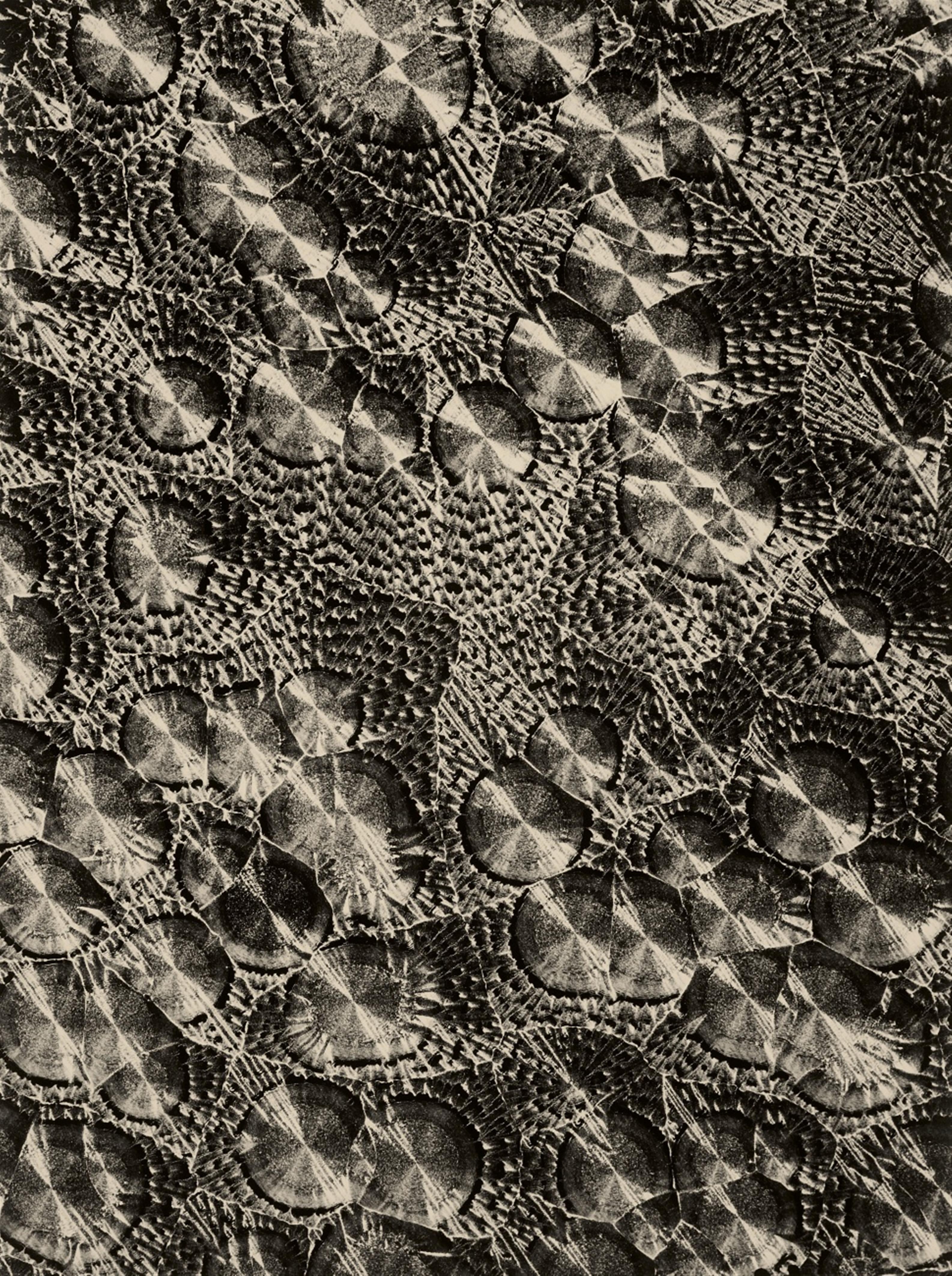 August Kreyenkamp - Ohne Titel (Mikrophotographie)