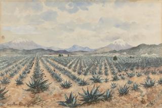 August Löhr - El Iztaccíhuatl And El Popocatépetl With Field Of Maguey