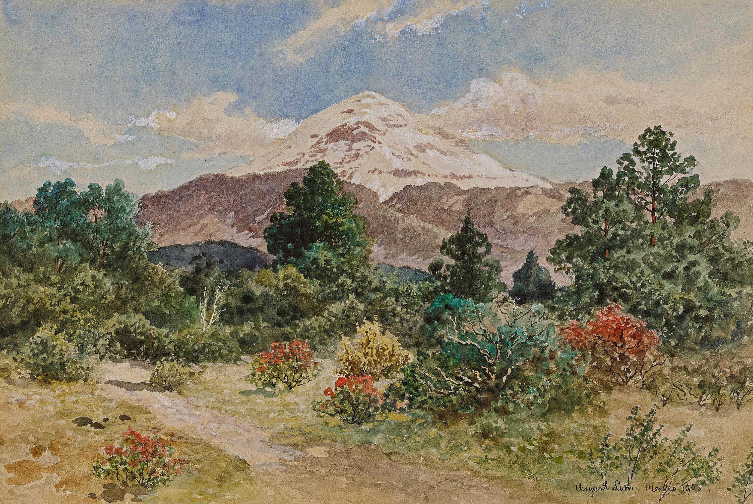 August Lohr - Der mit Schnee bedeckte Vulkan Popocatépetl in Mexiko.