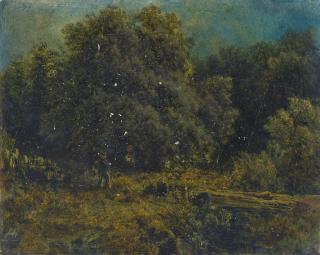 August Piepenhagen - Waldstück