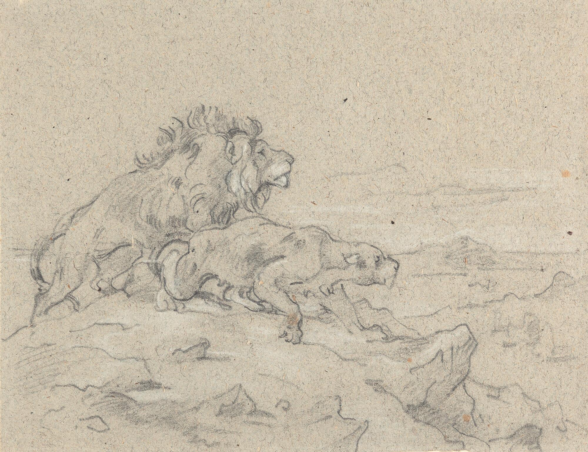 August Richter - 2 Bll.: Löwenpaar – Kauernder Affe