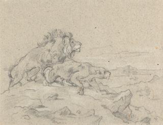 August Richter - 2 Bll.: Löwenpaar – Kauernder Affe