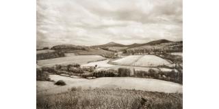 August Sander - Heisterbach Area and the Olberg Mountain