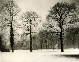 August Sander - Kölner Stadtwald