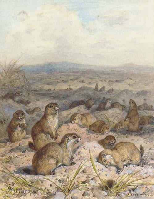 August Specht - Front cover design and illustrations for Nature\'s Pageant, The Story of the Seasons (one illustrated)