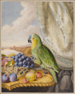 Augusta Innes Withers - A parrot eating from a bowl of grapes, plums, peaches and strawberries with a river landscape beyond