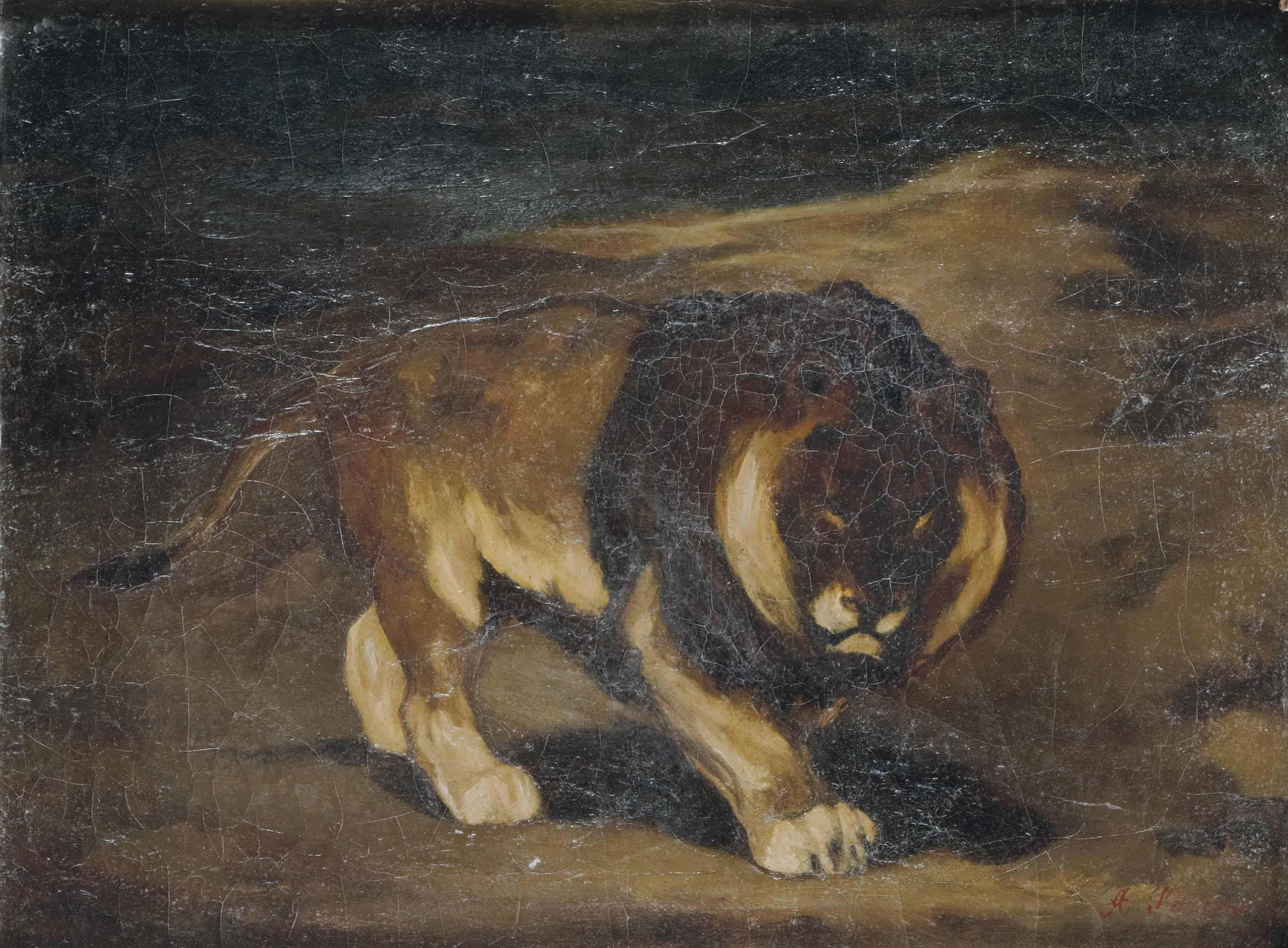 Auguste-Andre Lancon - Le lion du Cap à crinière noire