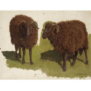Auguste Bonheur - Study Of Black Rams